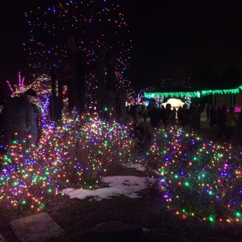 Denver Zoo Lights - 238 Photos & 73 Reviews - Festivals - 2900 E Photo of Denver Zoo Lights - Denver, CO, United States - Denver Zoo Lights - 238 Photos & 73 Reviews - Festivals - 2900 E