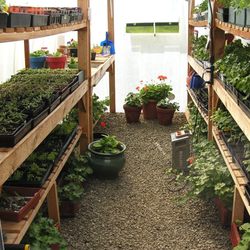 Solar Gem Greenhouses 31 Photos Nurseries Gardening 2926 S Photo Of Solar Gem Greenhouses Tacoma Wa United States