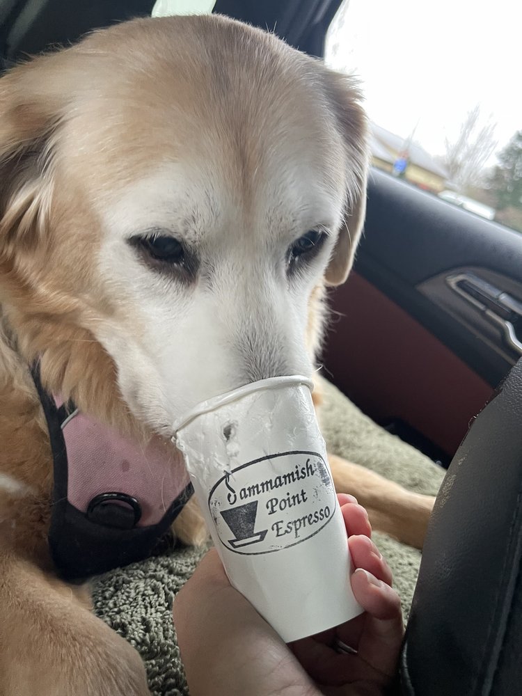 Sammamish Point Espresso