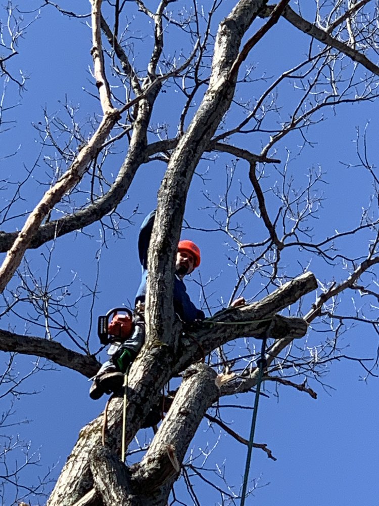 L and H Tree Service, Excavation & Construction