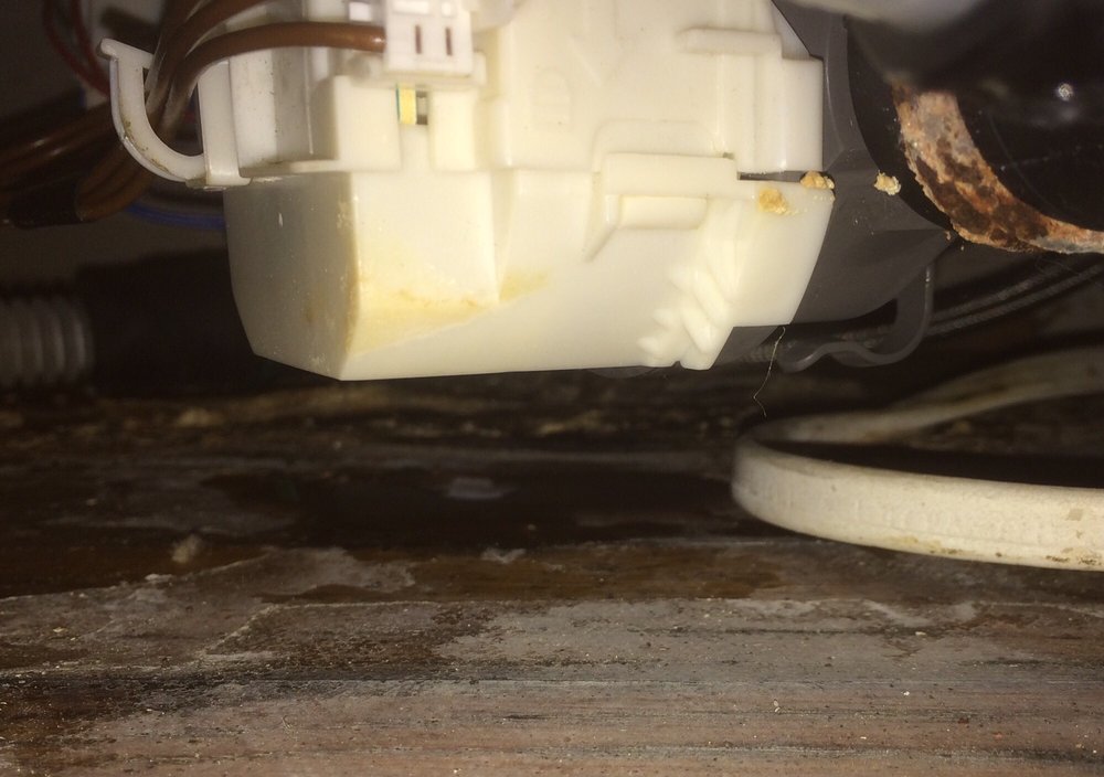 American Leak Detection 12 Reviews Plumbing 17903 W Strack Dr American Leak Detection 12 Reviews Plumbing 17903 W Strack Dr Spring Tx Phone Number Yelp