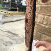 Best Southern Food in San Antonio