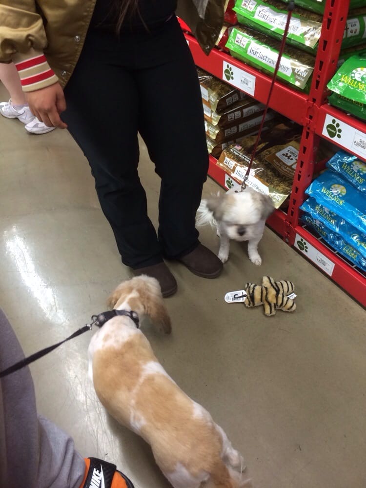 Pet Food Express Vet Clinic Hours Pet Food Express Vet Clinic Hours