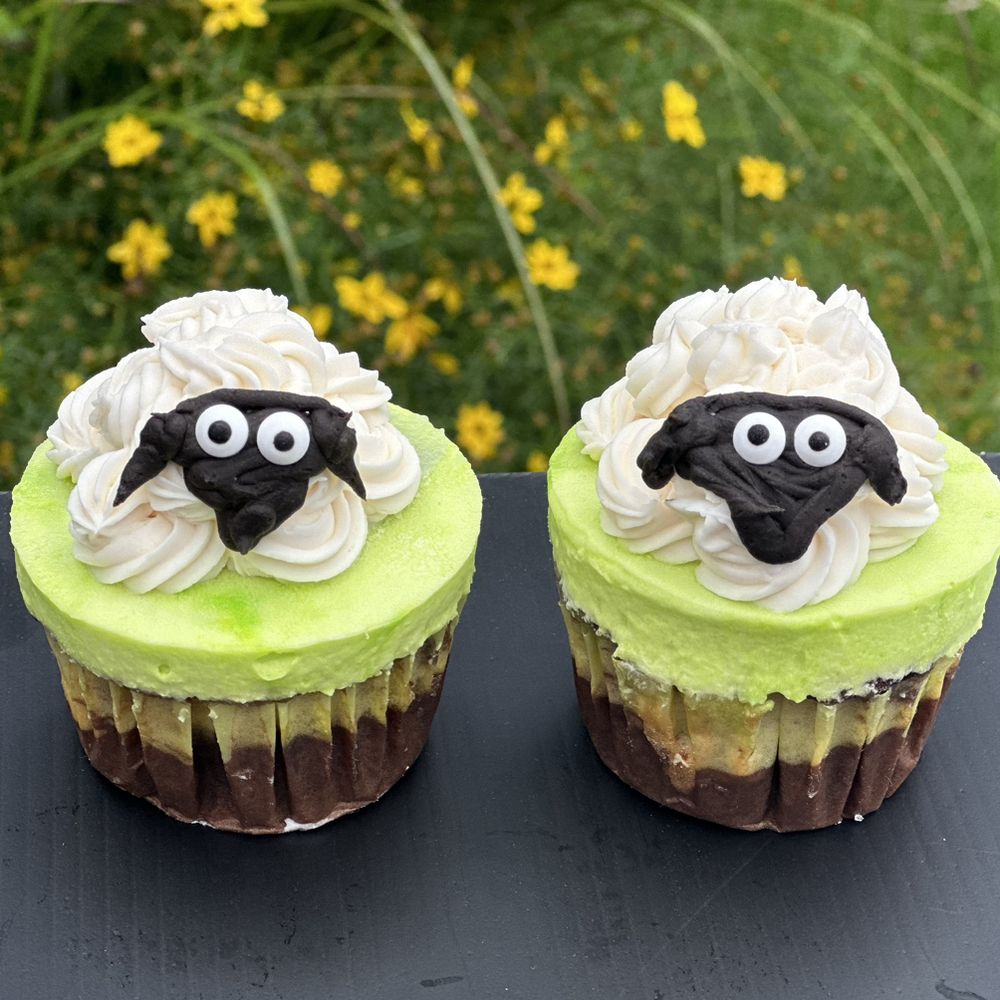 Deb’s Custom Cupcakes