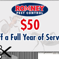 Romney Pest Control 36 Reviews 904 S Mill St Photo Of Romney Pest Control Lewisville Tx United States