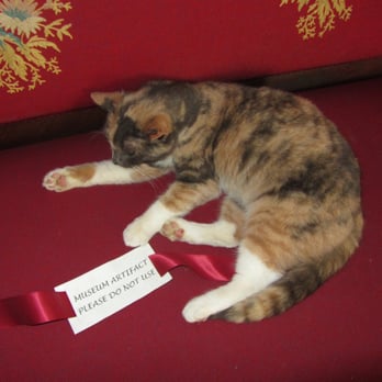 Leonis Adobe & Plummer House Museum 250 Photos & 34 Reviews Museums