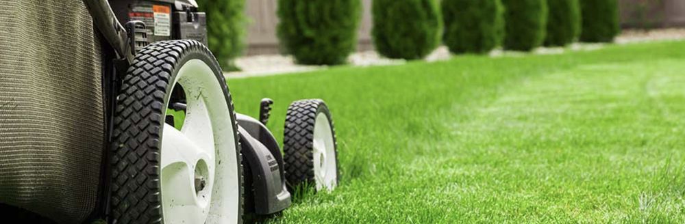 Signature Lawn Pros