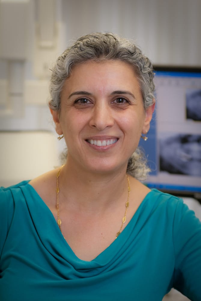 image of business Mojgan Rostamian, DMD