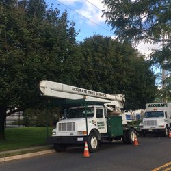 Accurate Tree Service 19 Photos 17 Reviews Services Photo Of Accurate Tree Service Neptune Nj United States