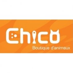 Chico