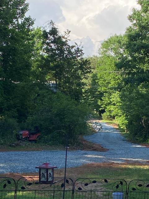 Red Paw Tree & Land Management