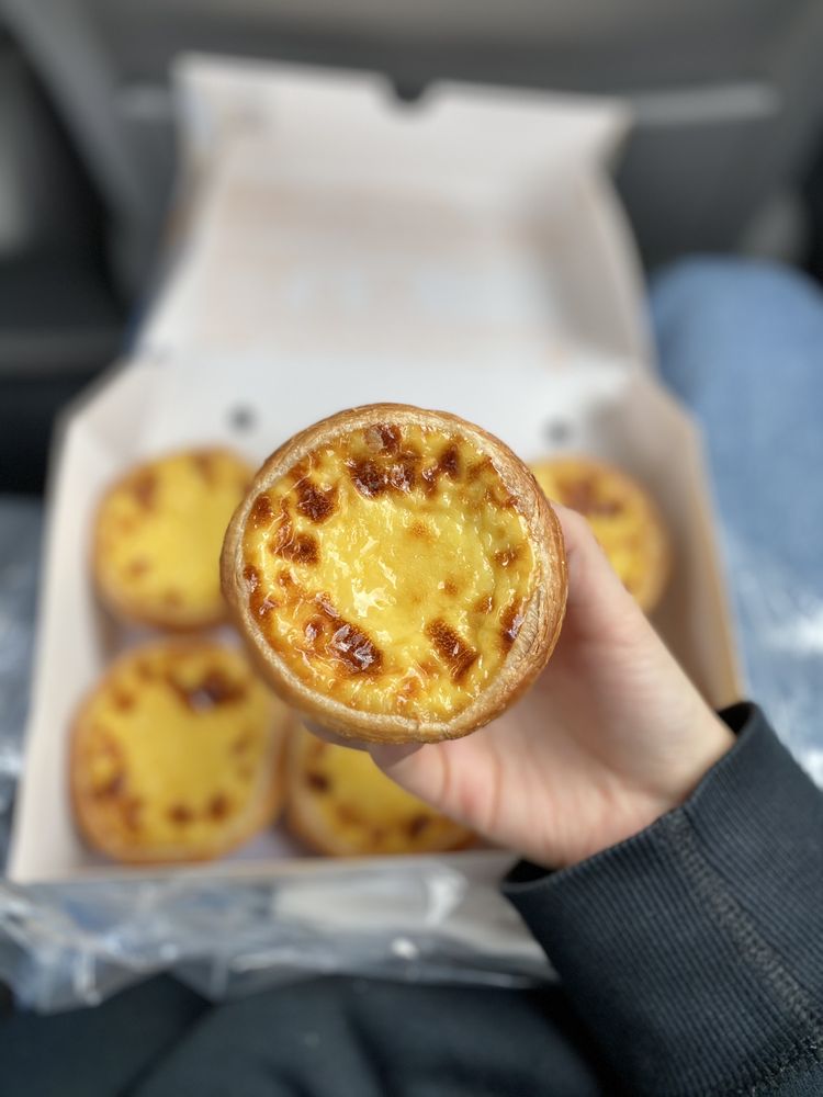Lily Bloom Bakery