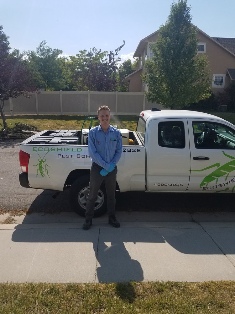 EcoShield Pest Control 17 Photos Pest Control 642 W 7250th S