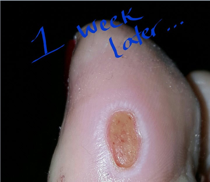 Nail Garden 19 Reviews Nail Salons 15025 SE McLoughlin Blvd, Oak