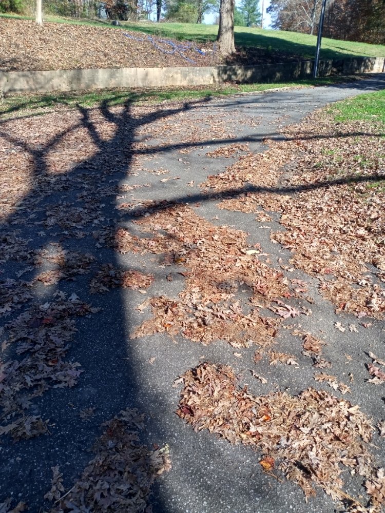 S &S  Cleaning Service and Yard work