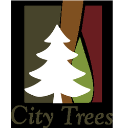 city trees tree services back bay boston ma phone city trees tree services back bay boston ma phone