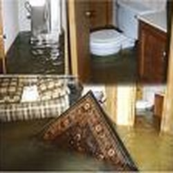 Stanley Steemer Carpet Cleaning 5000 Linbar Dr Nashville Tn Carpet Rug Cleaners Nashville Tn