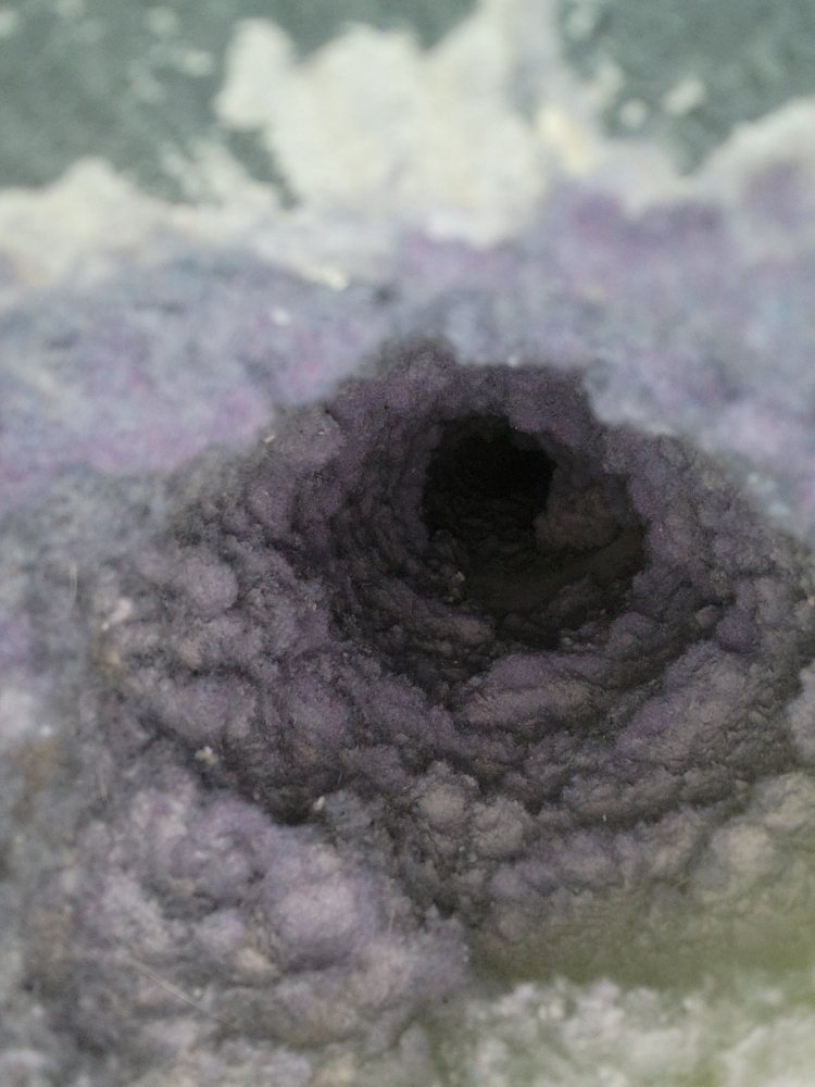 Dryer Vent Wizard of Mission Viejo and Trabuco Canyon