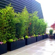 Nyc Garden Design west village nyc terrace deck roof garden pavers outdoor dining chaises Photo Of Amber Freda Home And Garden Design New York Ny United States Nyc Garden Design nyc landscape design how to rooftop terrace garden all photo of amber freda home and Photo Of Amber Freda Home And Garden Design New York Ny United States