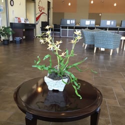 Eugene Office - United Finance