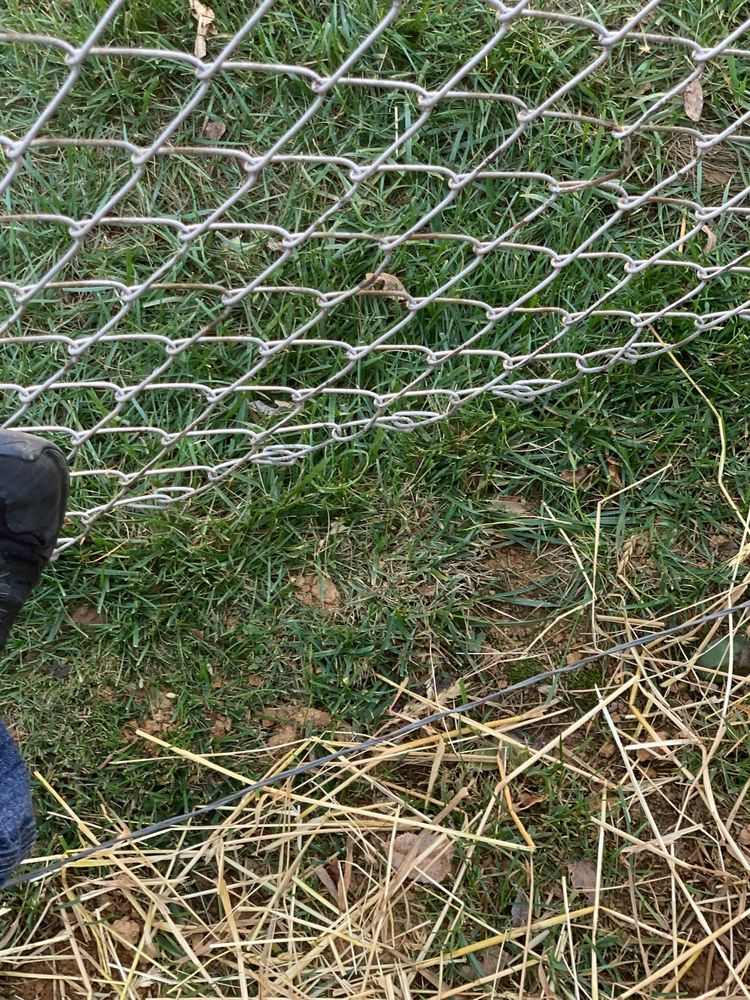 image of business B-Dry Systems of Louisville Inc