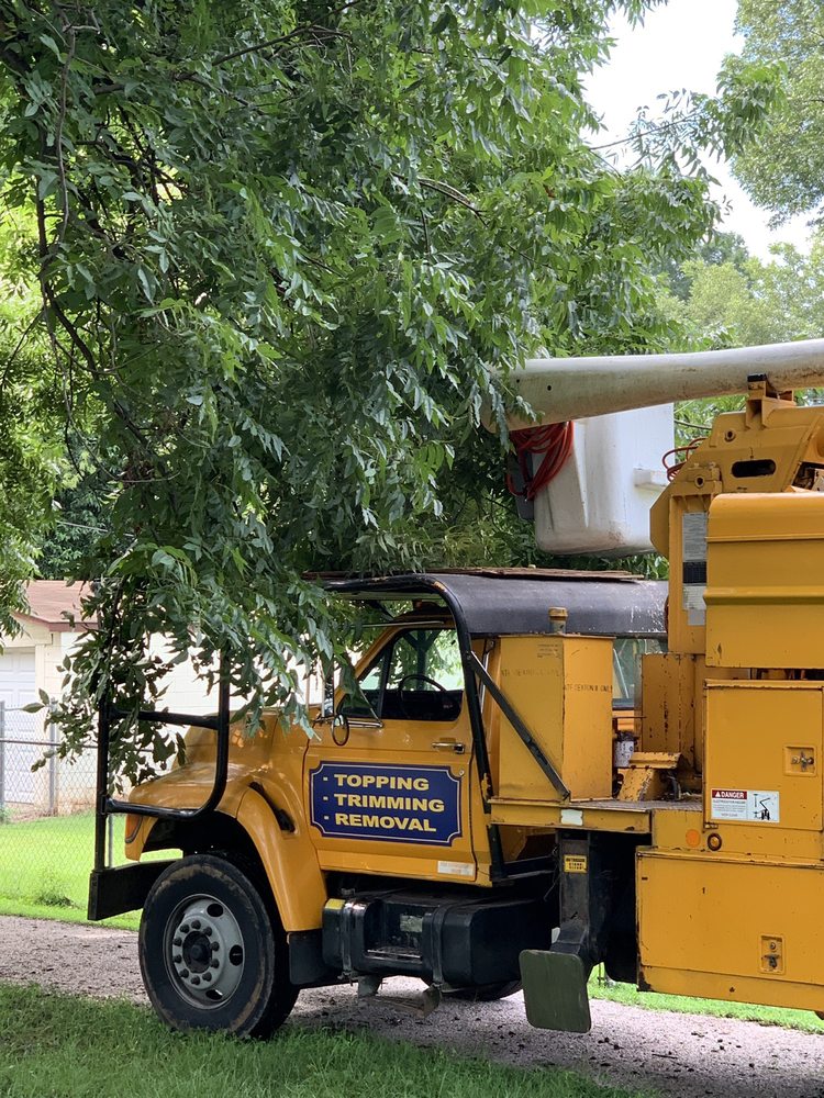 Preacherboy Tree Services