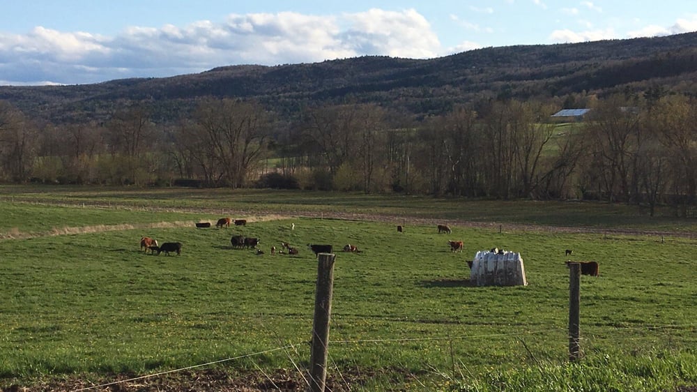 Kayhart's Homegrown Meats