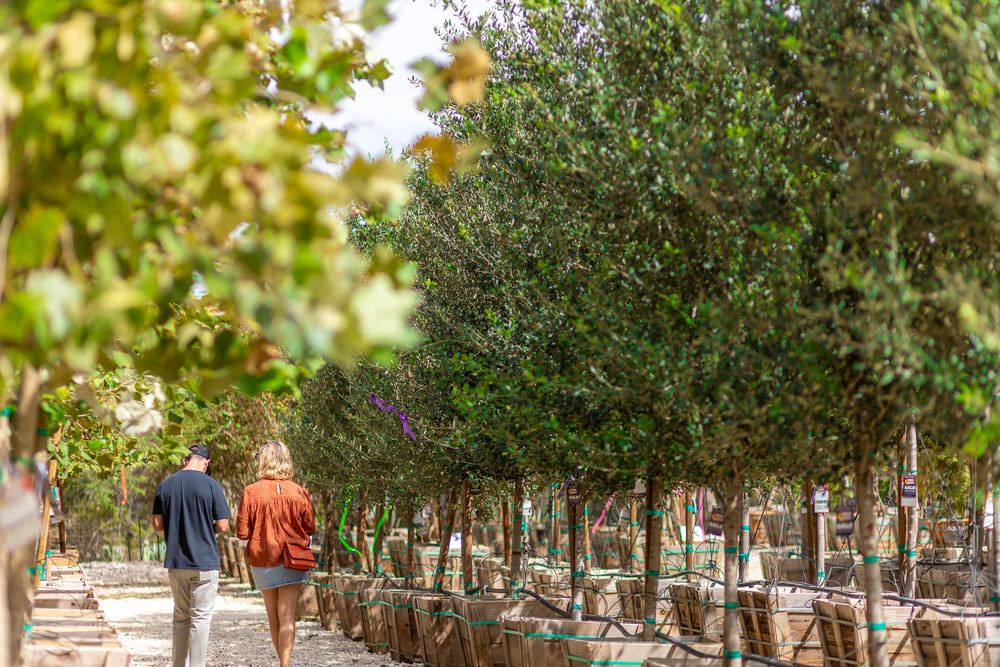 Moon Valley Nurseries San Antonio