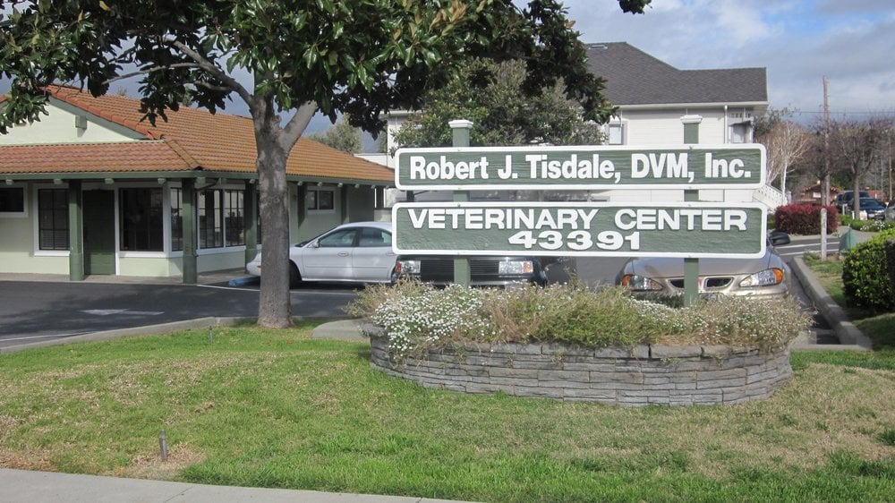 Robert J Tisdale D.V.M., Inc., Mission Veterinary Center 12 Photos