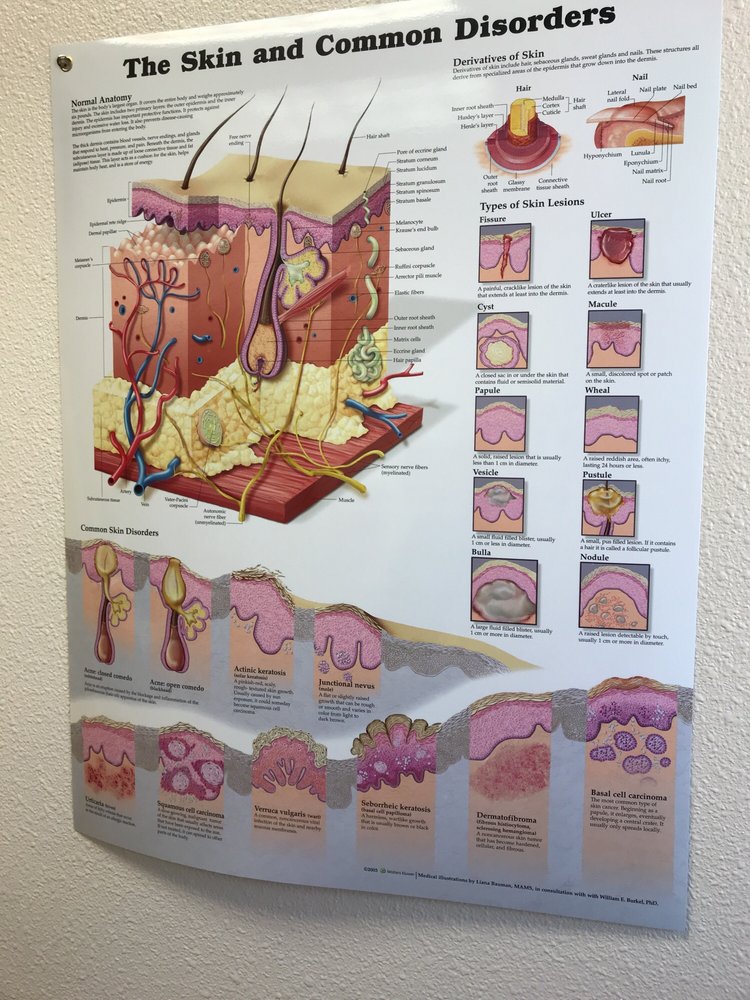 Skin Cancer & Dermatology Institute 17 Photos & 53 Reviews