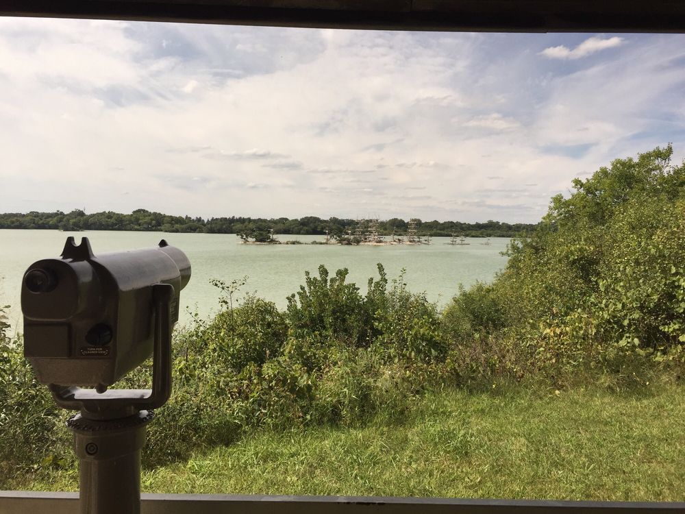 Lake Renwick Preserve Heron Rookery Nature Preserve 16 Photos