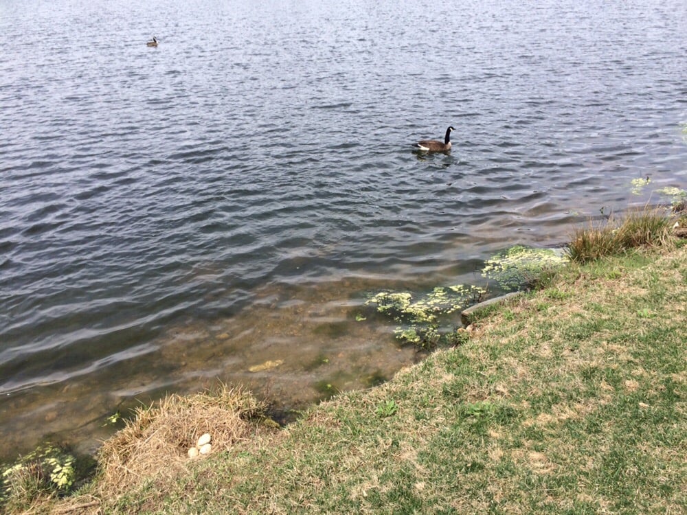 Rattlewood Golf Course