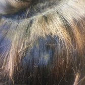 True Glory Hair 27 Photos 57 Reviews Cosmetics Beauty Supply Photo Of True Glory Hair Smyrna Ga United States Virgin Brazilian