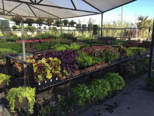 California Landscape Supply 4107 Morgan Rd Ceres Ca Building Reviews