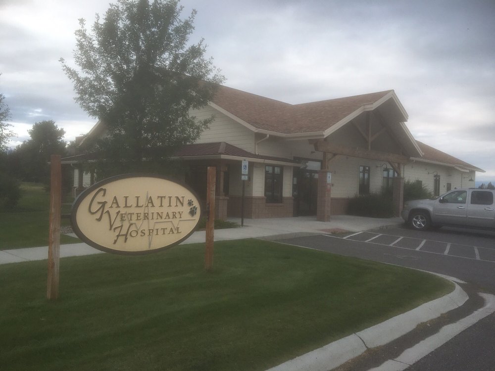 Gallatin Veterinary Hospital Veterinarians 1635 Reeves Rd E