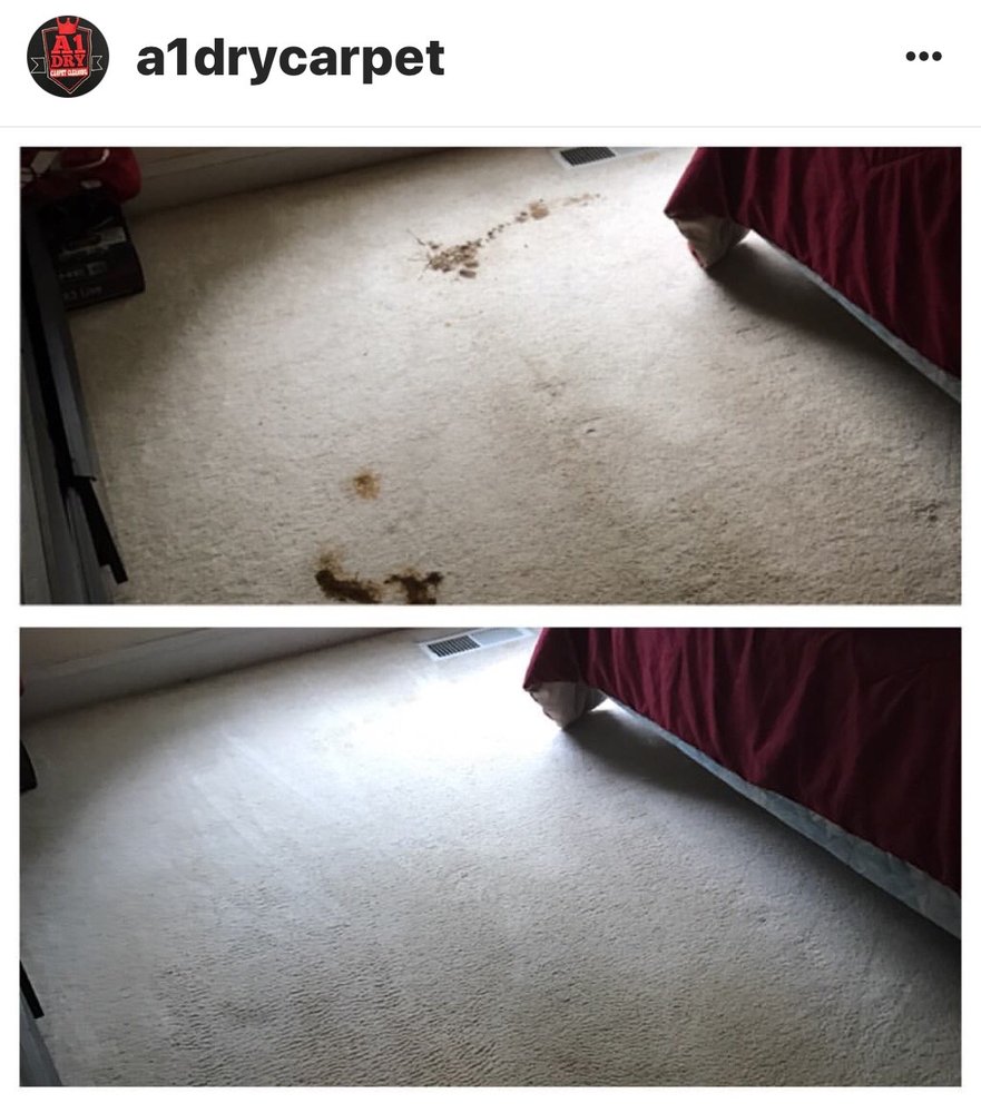 A1 Dry Carpet Cleaning