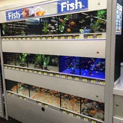 walmart 15 photos amp 16 reviews grocery 494 w walmart royse city tx