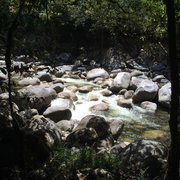 Photo of Aussie Mailman - Cherrybrook New South Wales, Australia. Mossman Gorge