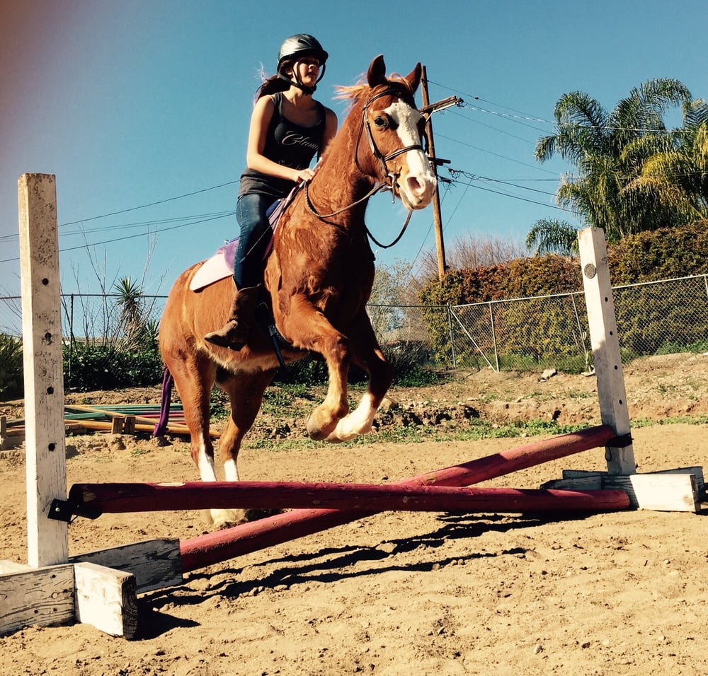 On The Bit Equestrian Academy