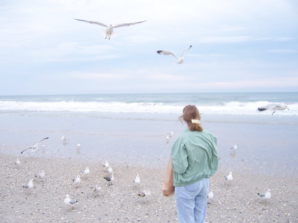 The Town of Wrightsville Beach