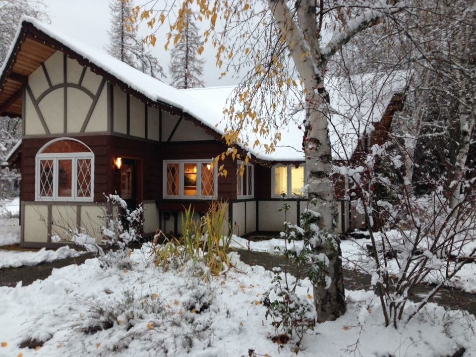 image of business MacNeill Family Dental