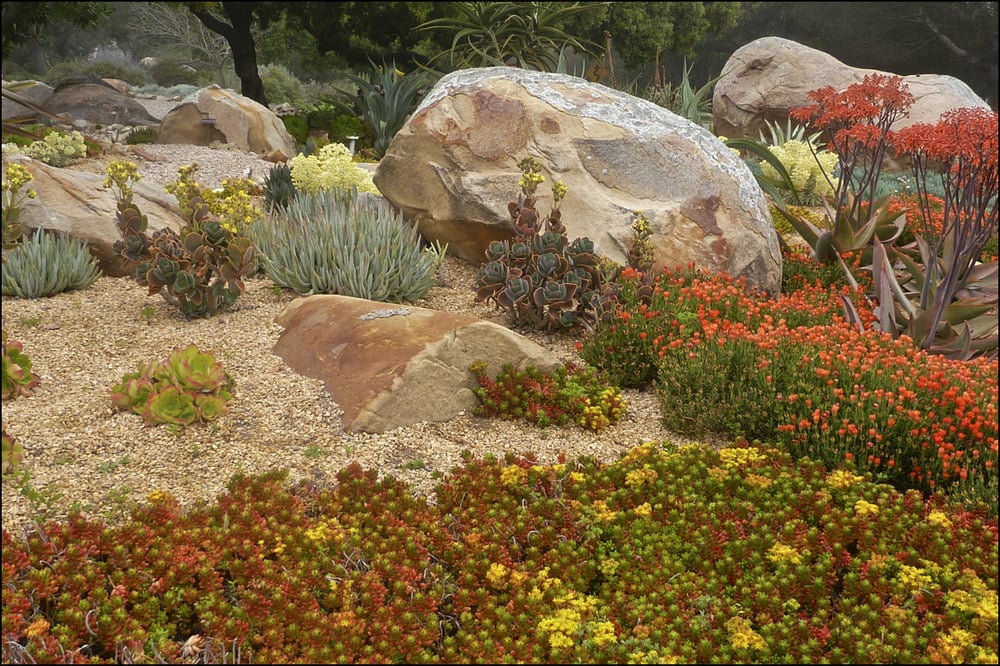 Gardefacts Landscape Design