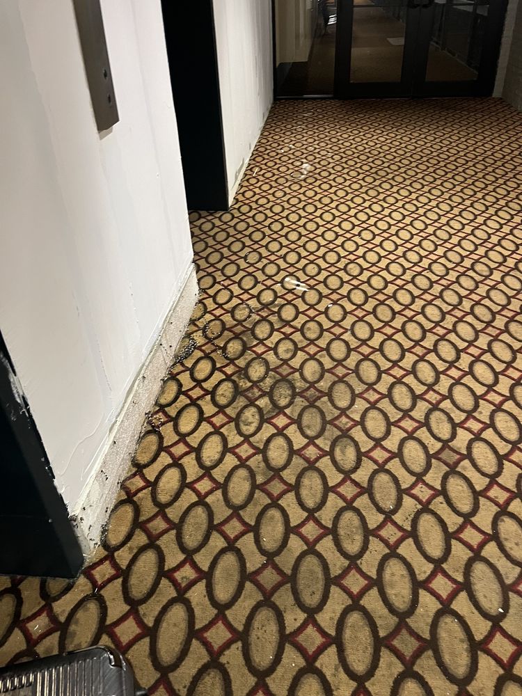 M Hotel Buffalo