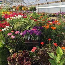The Barn Nursery 22 Photos 15 Reviews Nurseries Gardening Photo Of The Barn Nursery Olympia Wa United States