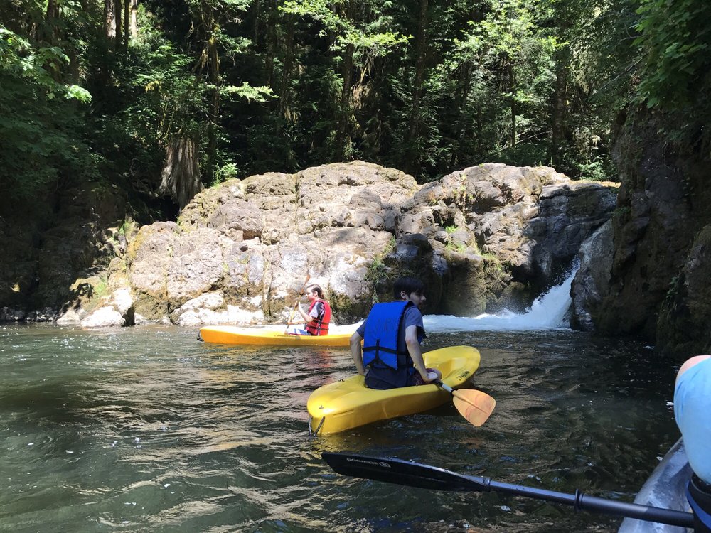 Lake Mayfield Resort & Marina 14 Photos & 14 Reviews Hotels 350