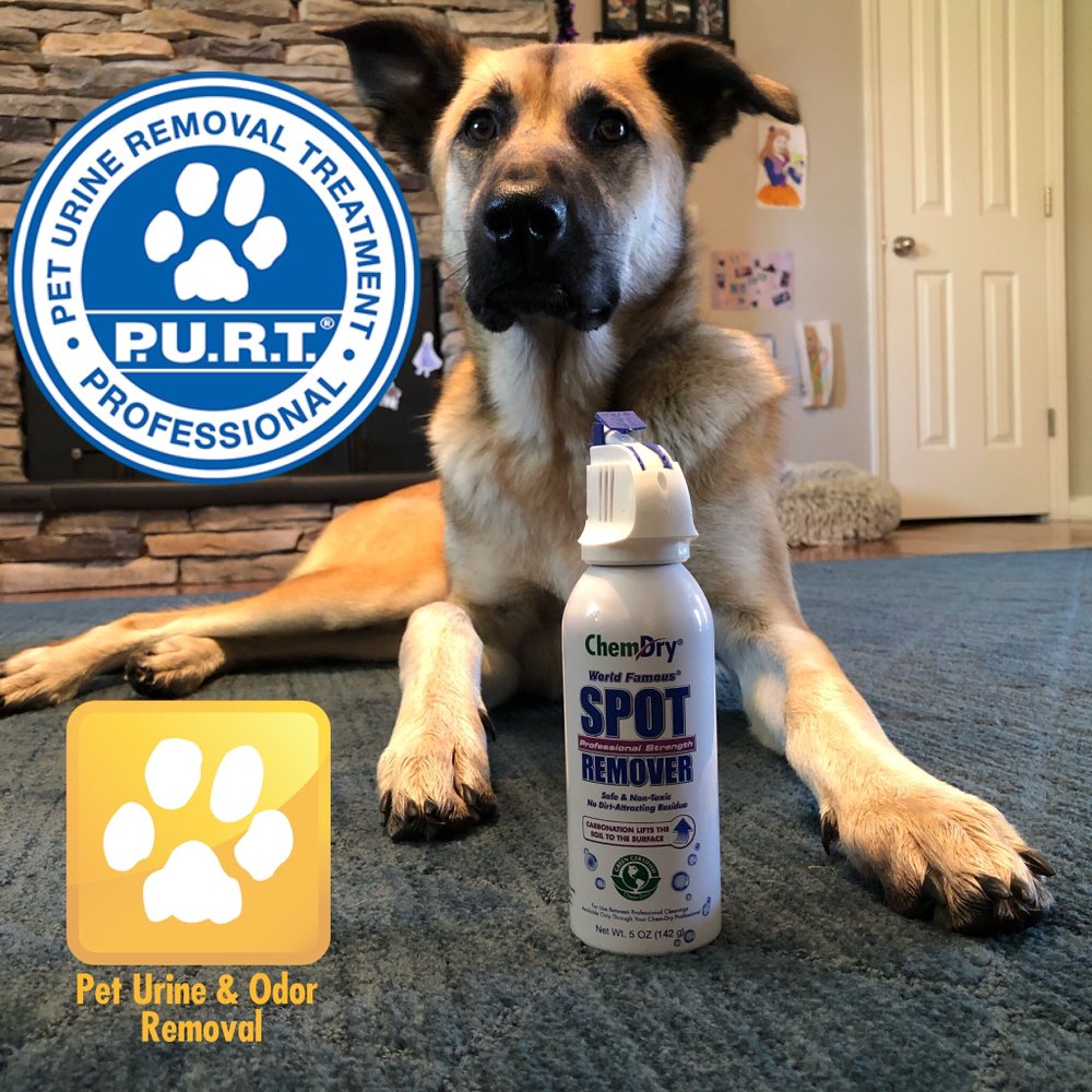 TNT Chem-Dry Carpet Cleaning
