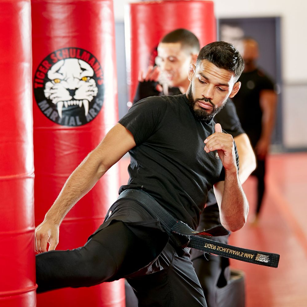 Tiger Schulmann's Martial Arts - Bayside