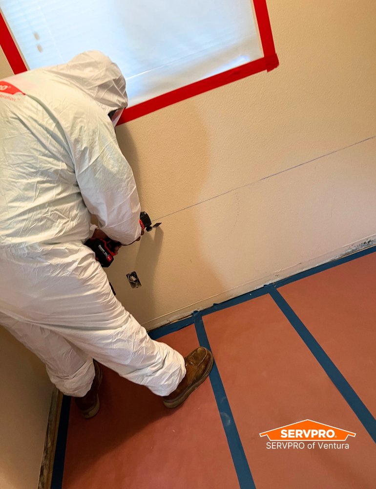 Servpro Ventura