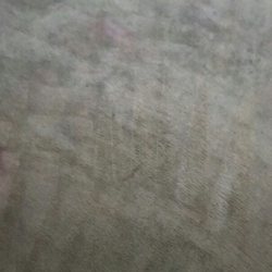 Carpet Cleaning Jacksonville Fl Green Dry Home Cleaning Jacksonville Fl Services Carpet
