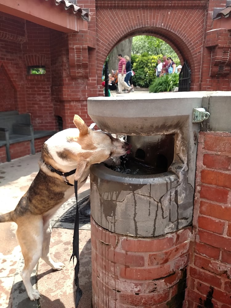 Summer House Landmarks & Historical Buildings E Capitol Cir NW